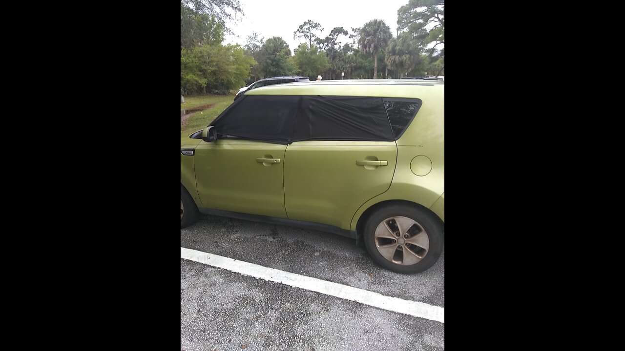 Stealth camping in Florida with Bart Fine