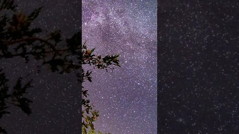 Stargazing timelapse #shorts #nature #timelapse
