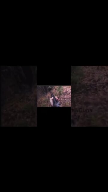 What would you do?! 🐻