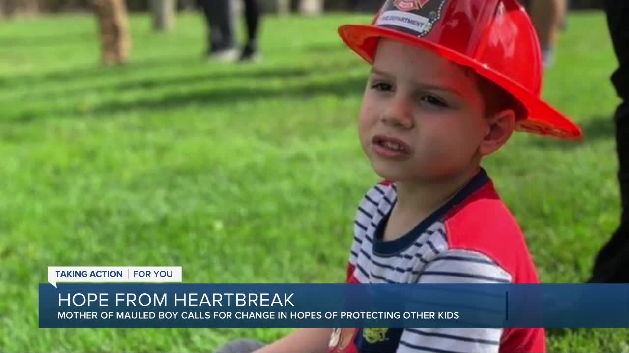 Metro Detroit Mom wants law changed after dog she was caring for killed 4-year-old son