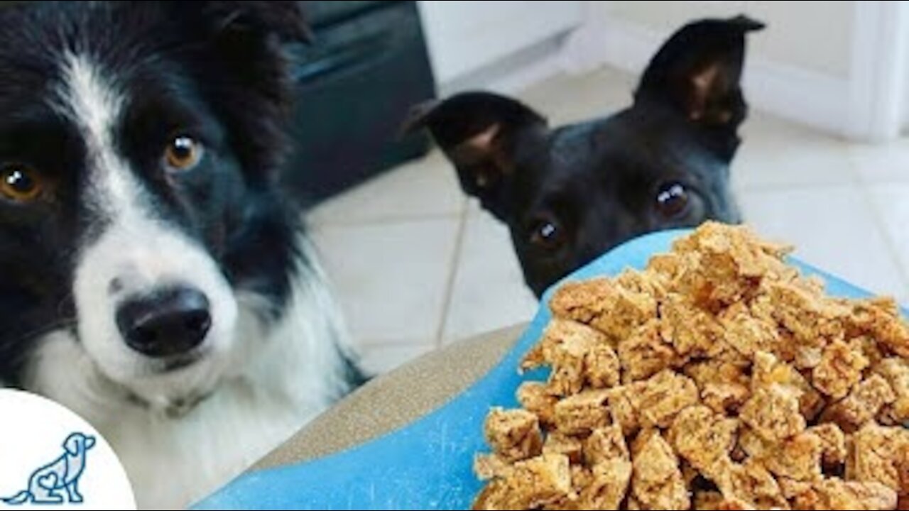 Three EASY dog treat recipes!