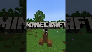 Minecraft but if you subscribe I switch accents