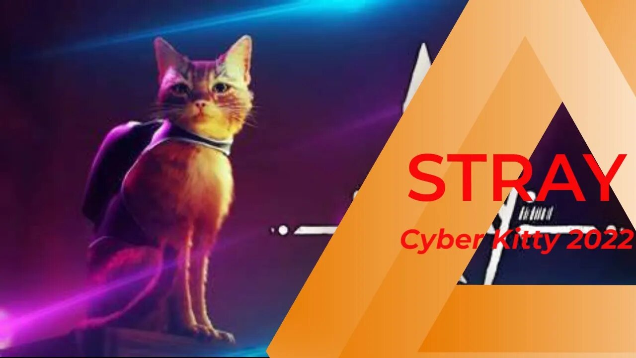 Cyber Kitty: 2022 part II