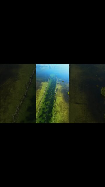 Toilet Seat cut, Islamorada Fl. 🏝️ #islamorada