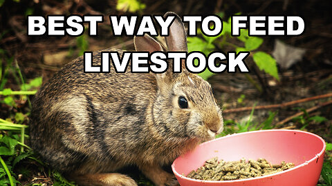 Here's something Tractor Supply doesn't want you to know.