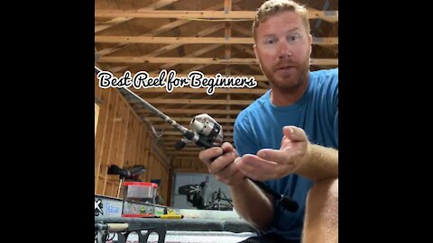 Best Fishing Reel for Beginners