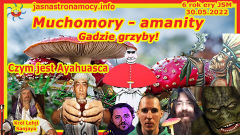 Muchomory amanity gadzie grzyby Czym jest Ayahuasca