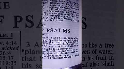 Psalm 1, KJV