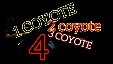 CHATTY COP CAUGHT COUNTING COYOTES COINCIDENTALLY