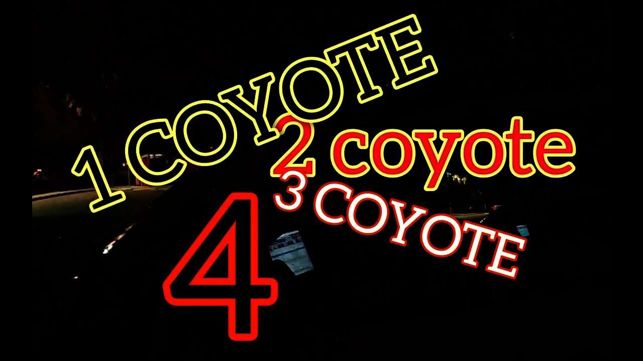 CHATTY COP CAUGHT COUNTING COYOTES COINCIDENTALLY