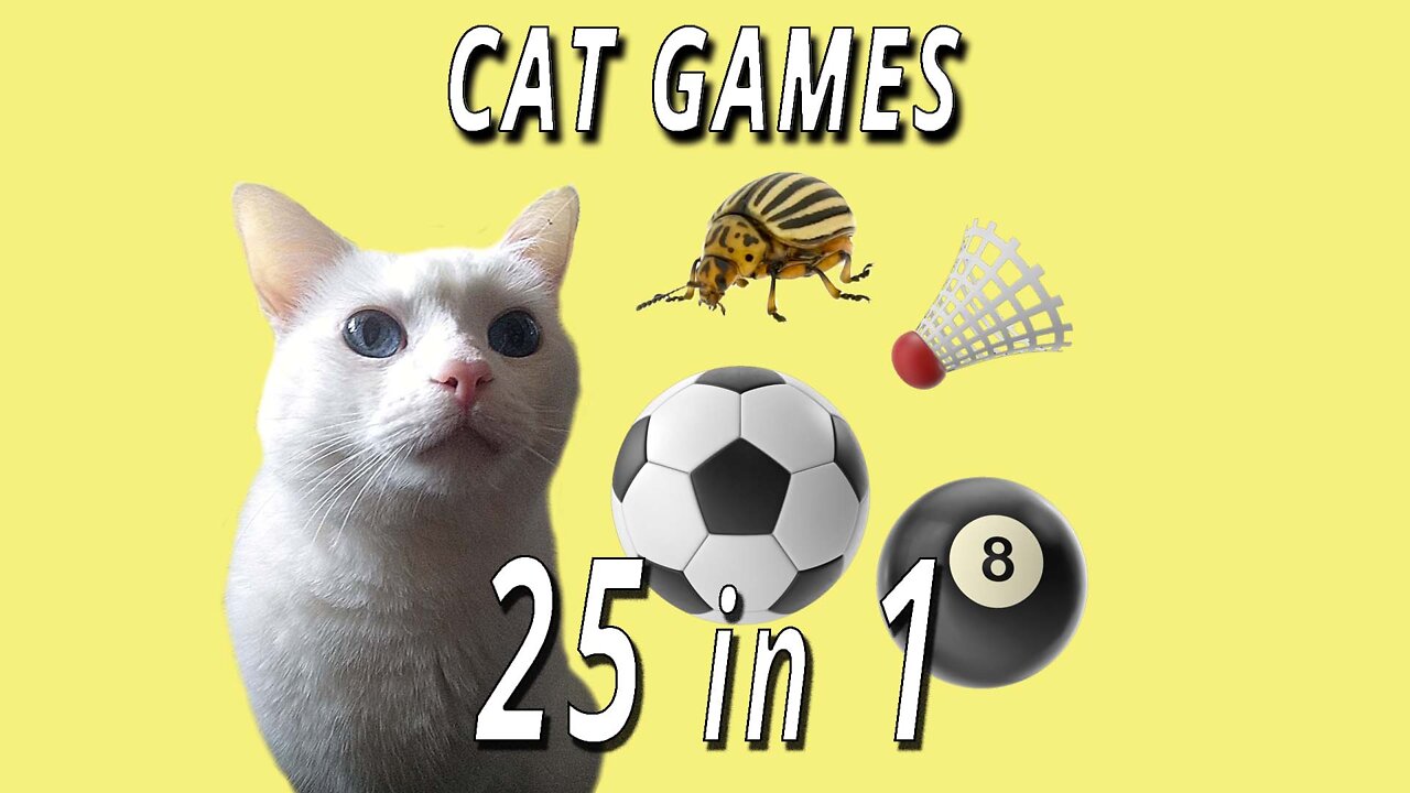 CAT GAMES: 25 in 1