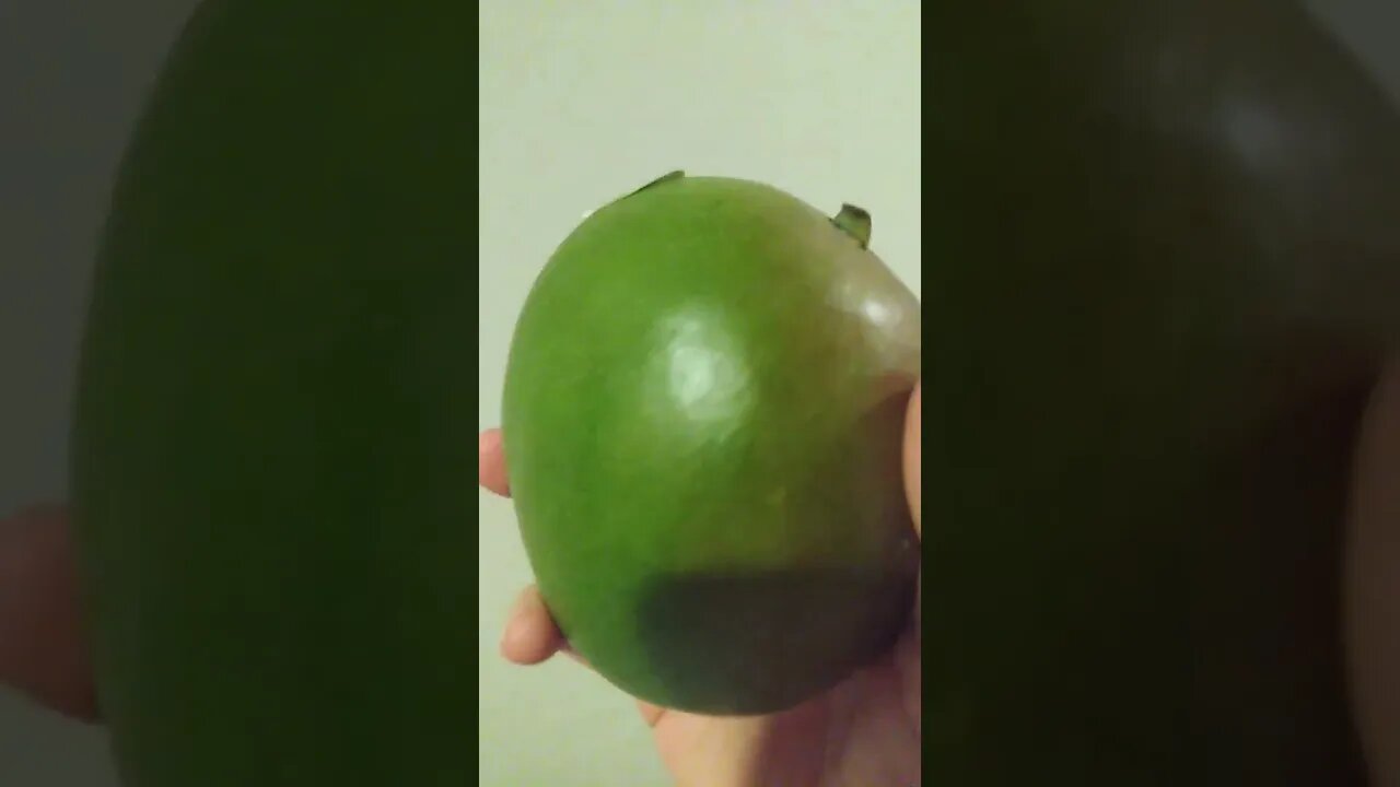 BAM! $5 Million Dollars legally owed to me myself and I!