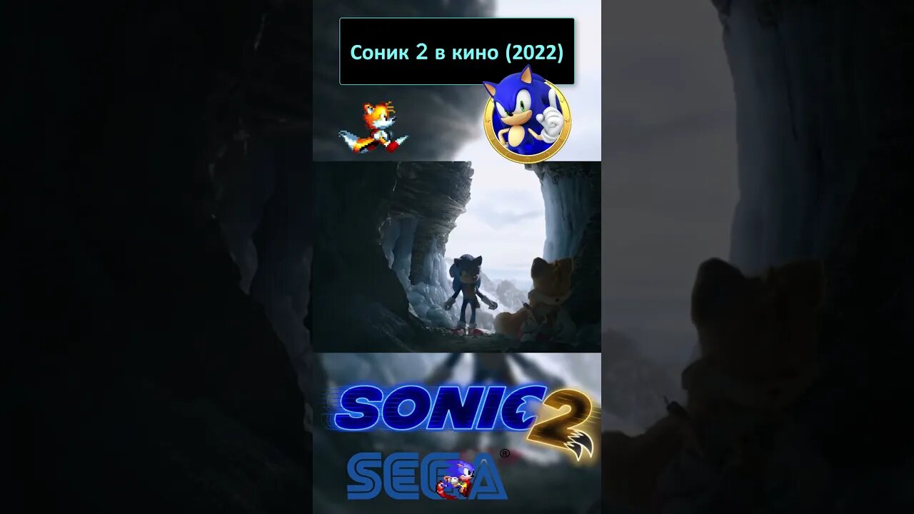 ... приключения 100% 💍🦔 #shorts #sonic #sonic2 #sonicthehedgehog #sega 0055