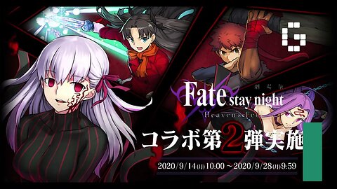 Top 14 Franchises That Fate Appeared In