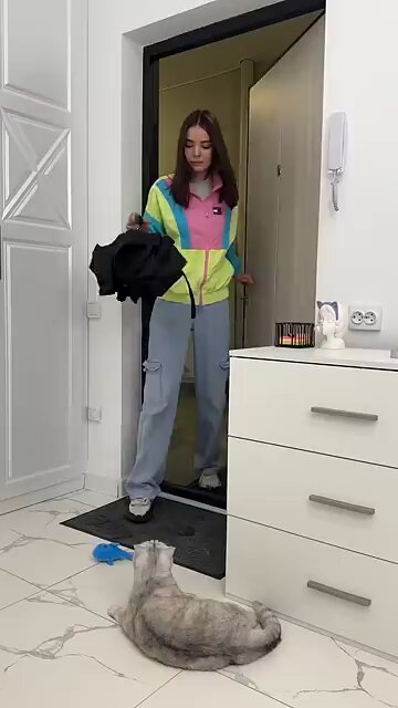 Prank with Cat 😺😺
