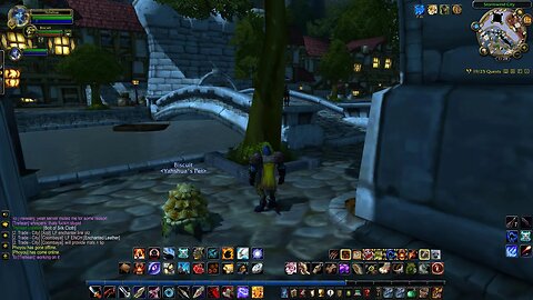 Questing on WOW