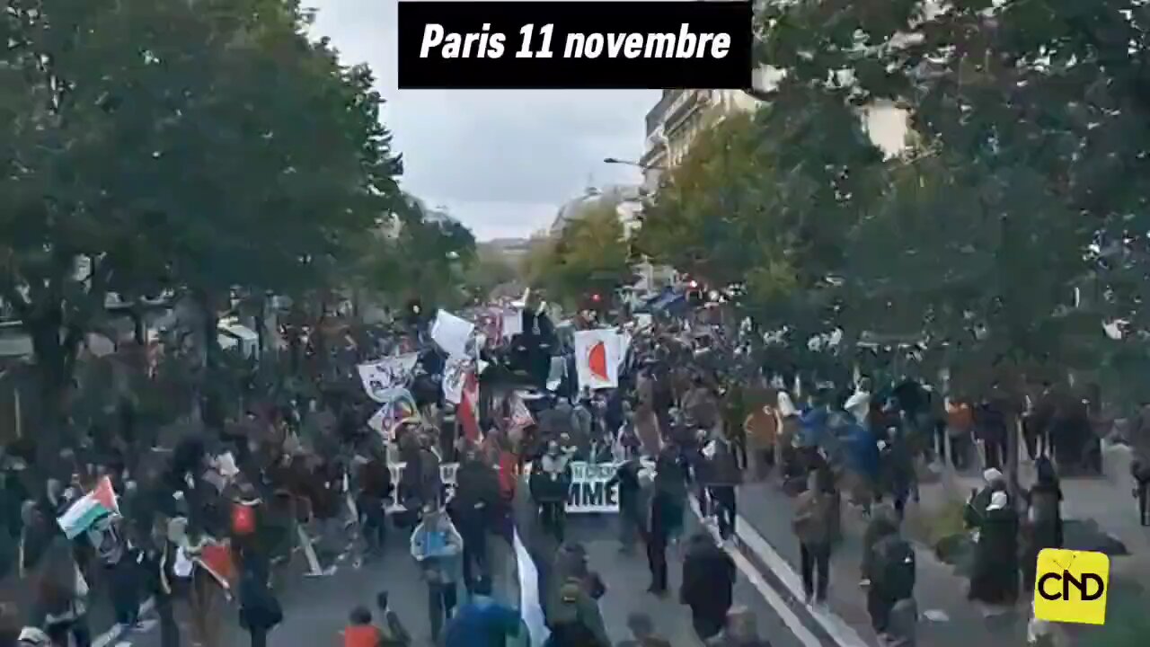 Mass protests against Israeli actions in Berlin, Paris and Cape Town.