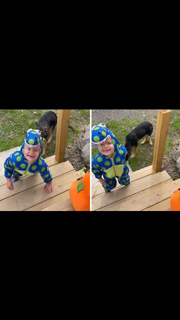 Pup Thinks Kid's Halloween Costume Is A Chew Toy