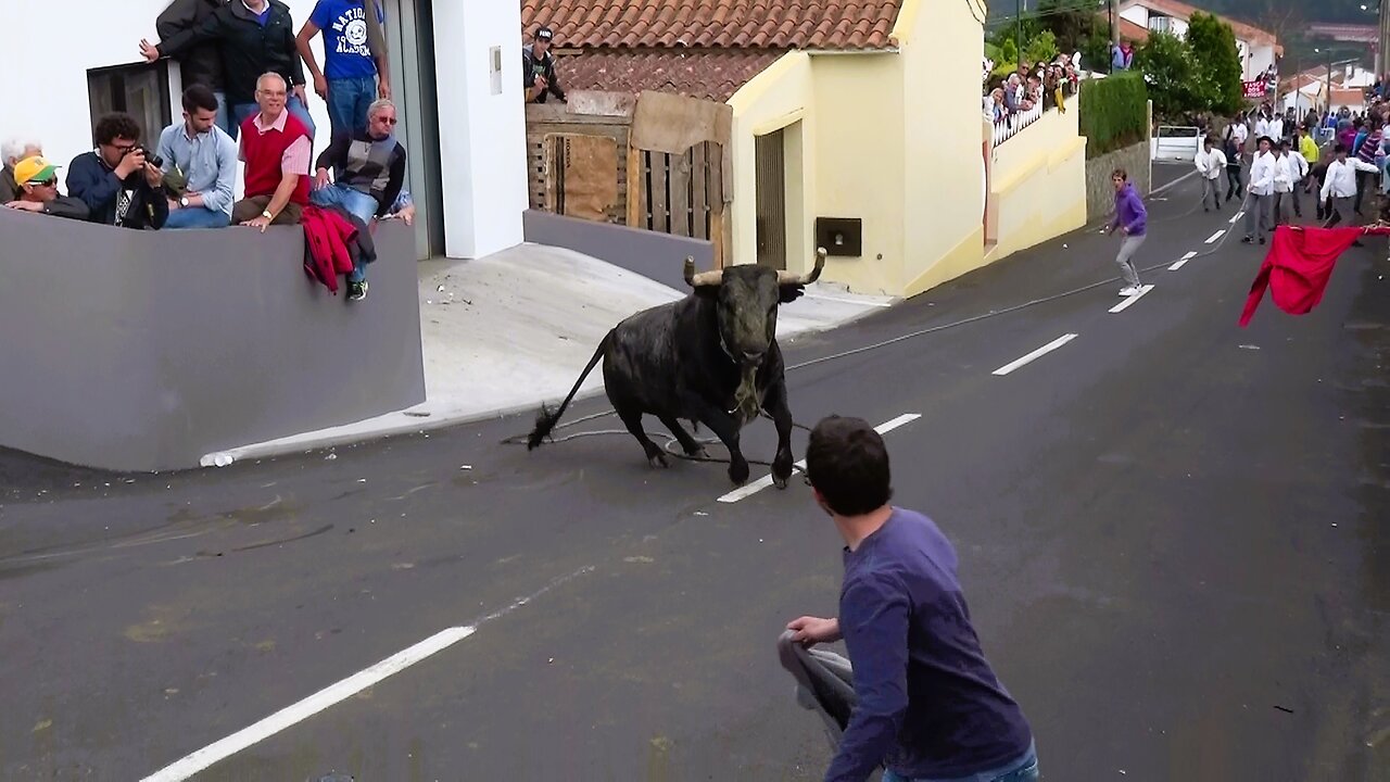 Tourada JAF - Ladeira Branca (16 Maio 2015) - Ilha Terceira - Açores - Portugal