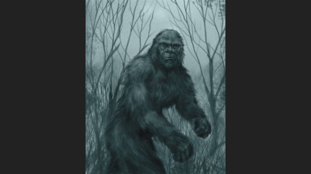 Bigfoot hunting season coming to Oklahoma?