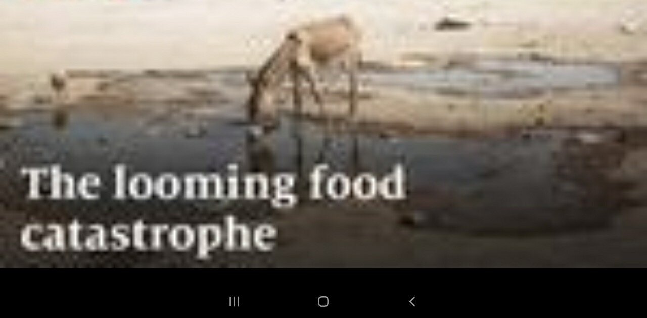 DARK WINTER: PEOPLE WILL GO INSANE WITH INFLATION ON STEROIDS, FOOD SET TO ROCKET 70 %