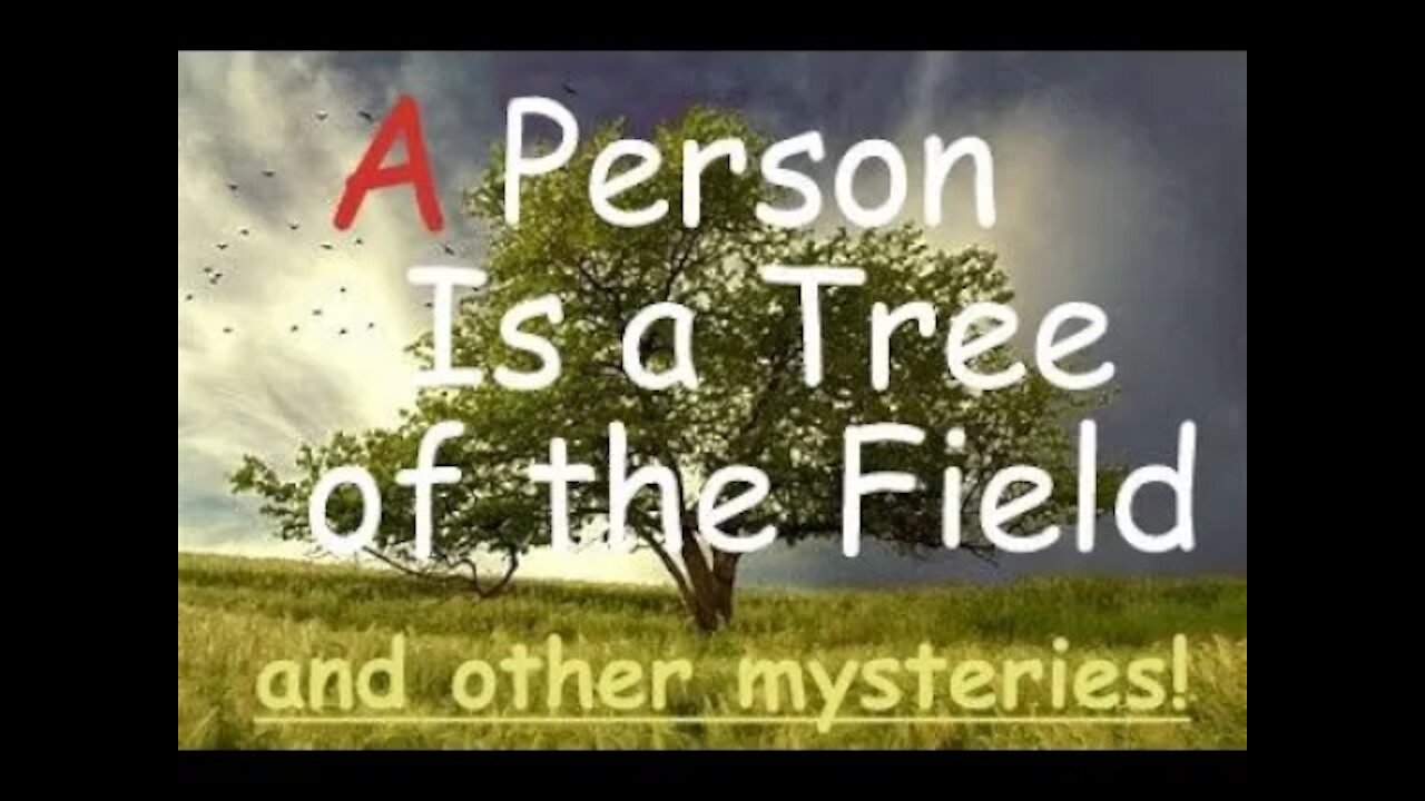 "A Person is a Tree of the Field" and other Metaphors