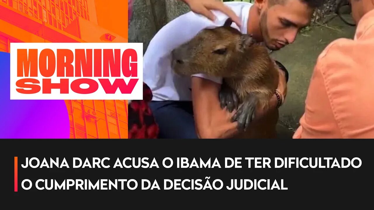 Capivara Filó é devolvida ao influenciador Agenor Tupinambá