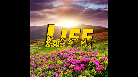 Life (Demo Version)