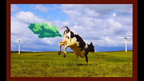 A New Fart Vaccine For Cows? You Can't Make This Up!