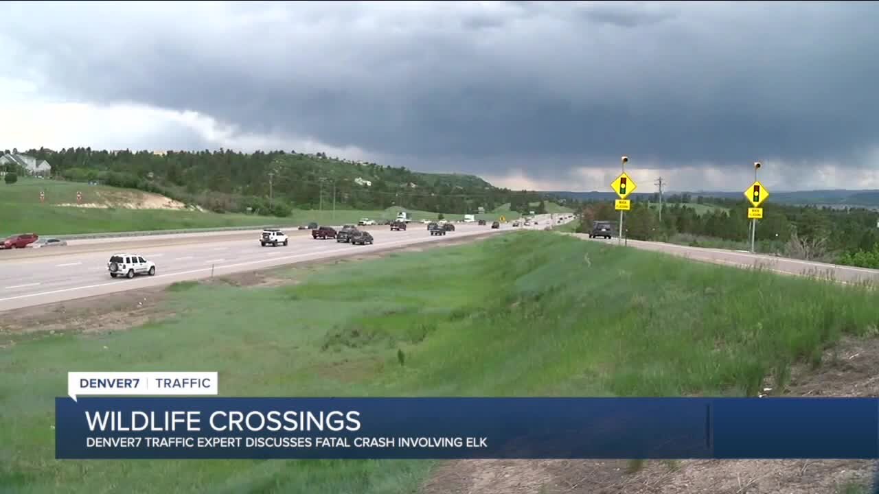 Denver7 Traffic Expert Jayson Luber discusses wildlife crossings after deadly crash