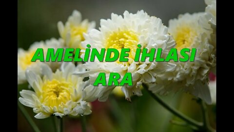 #menkıbe EN GÜZEL MENKIBELERDEN BİR BÖLÜM / "AMELİNDE İHLASI ARA"