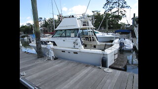 1981 CHRIS-CRAFT CATALINA 310 EXPRESS