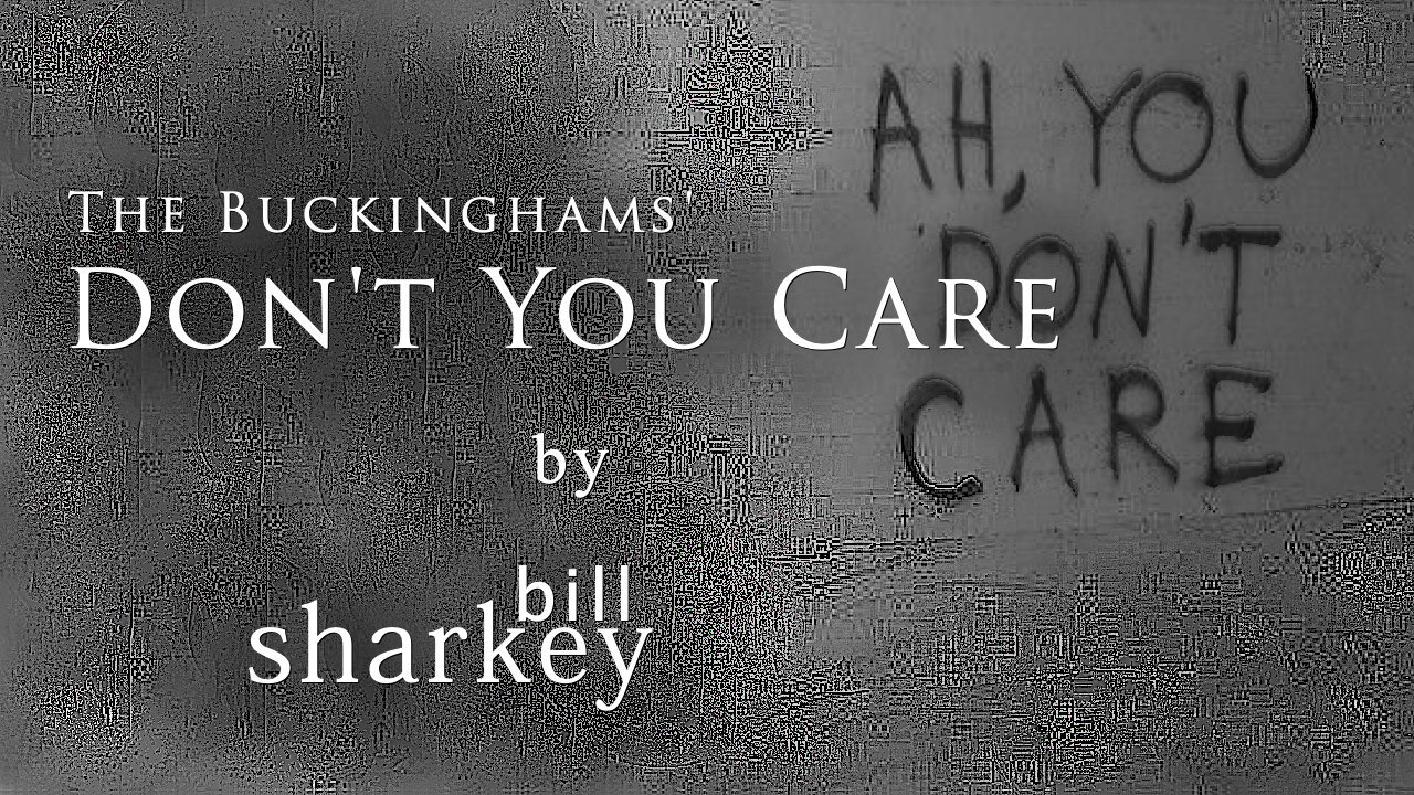 Don't You Care - Buckinghams, The (cover-live by Bill Sharkey)