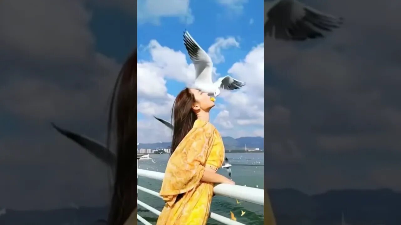 Seagulls Take Food From Hot Chinese Girl's Mouth