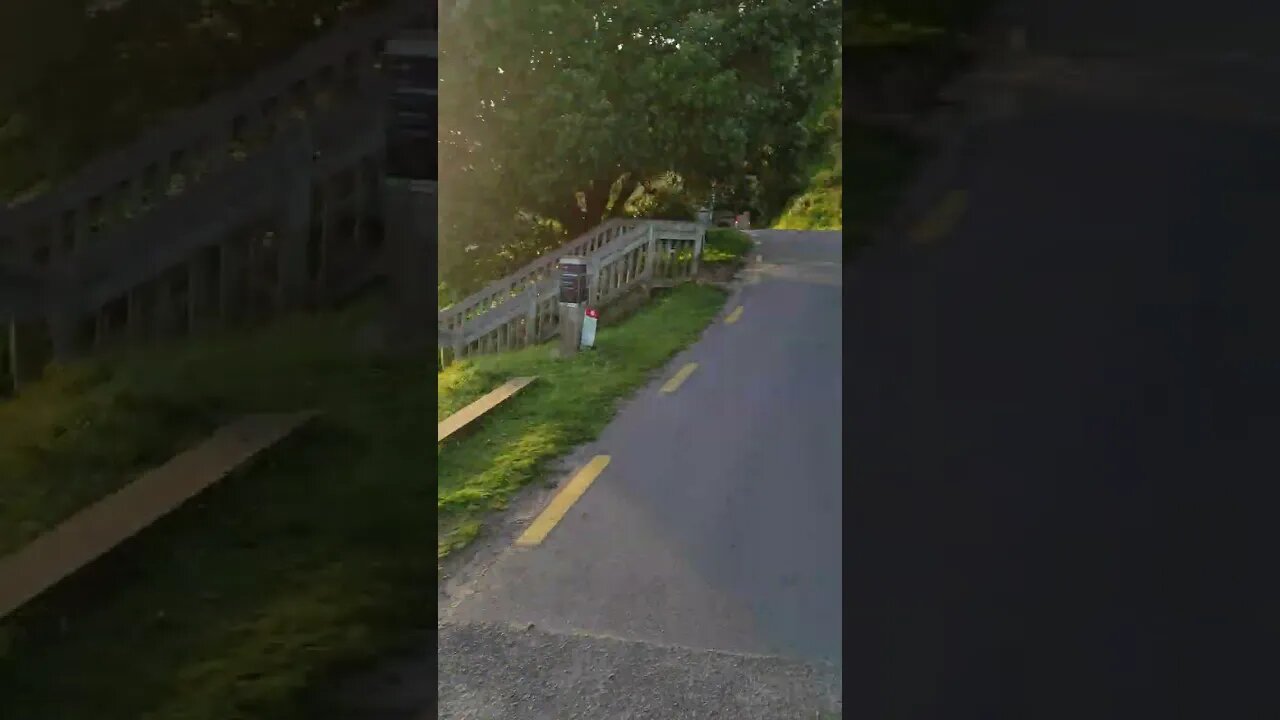 Scenic route past Oneroa Bay