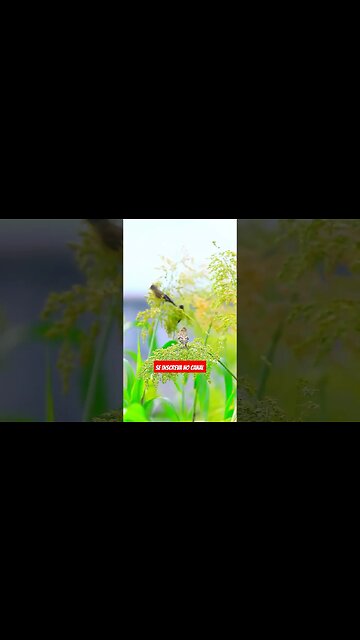 TEM RESPOSTA DE DEUS CHEGANDO NA SUA HISTÓRIA