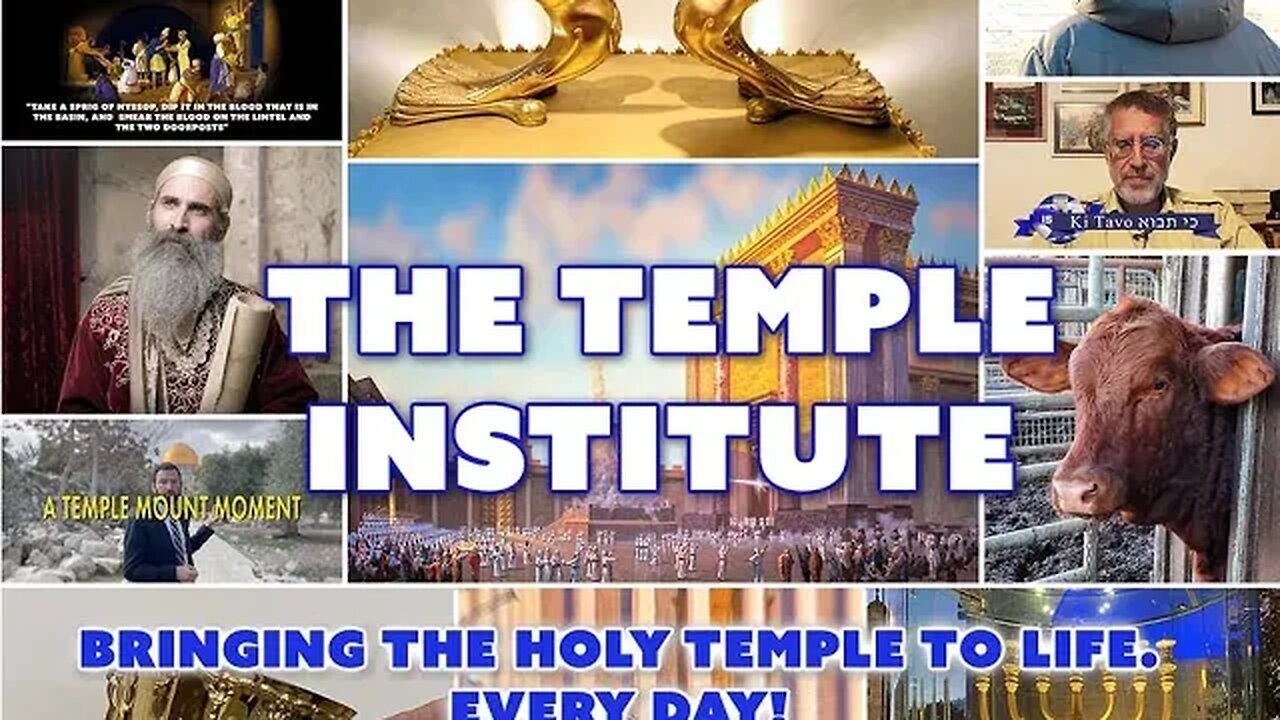 RED HEIFER - THIRD TEMPLE Updates - 2023 2024 Timeline