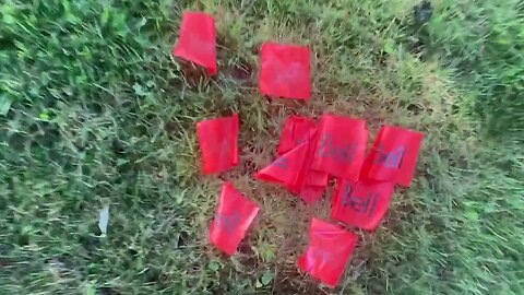 twitching rods