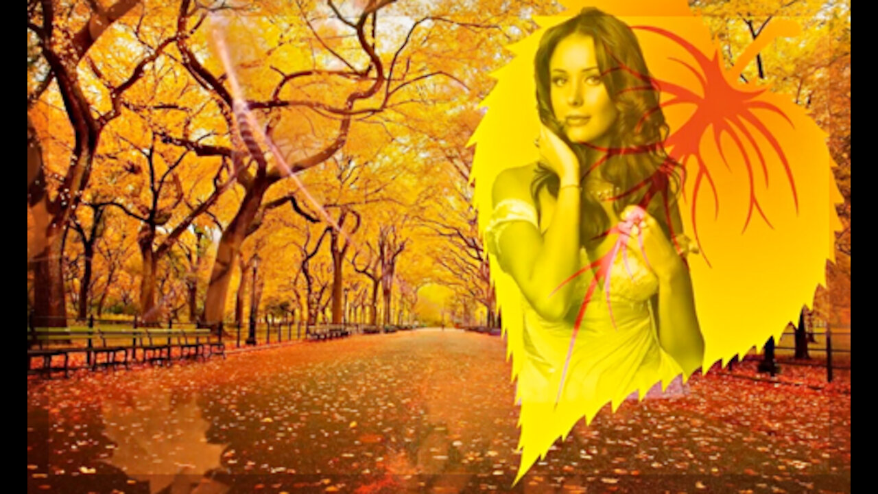 0038_Project ProShow Producer Запоздалая любовь