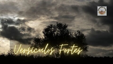 Versículos Fortes 2CR11