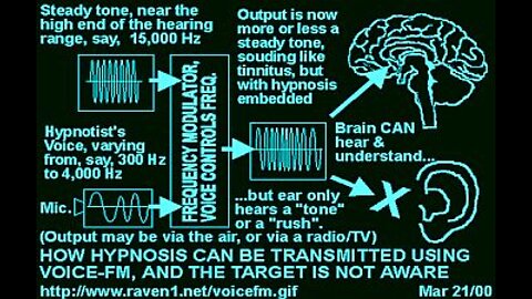 Voice to Skull Technology
