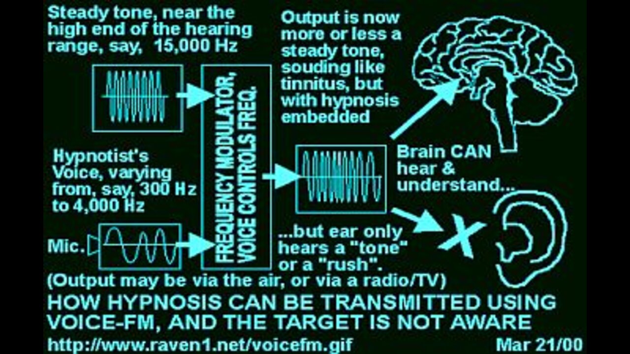 Voice to Skull Technology