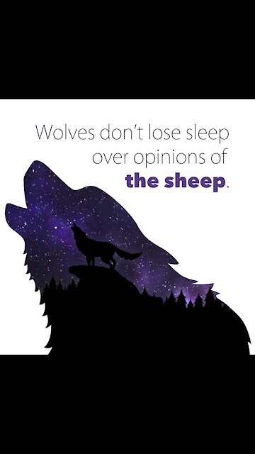 Wolves Quotes [GMG Originals]