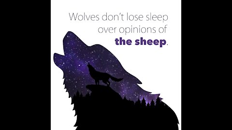 Wolves Quotes [GMG Originals]