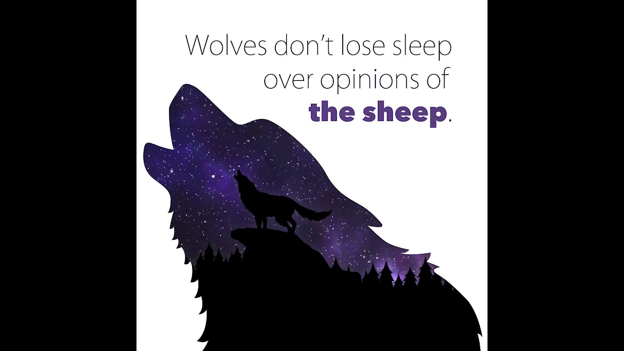 Wolves Quotes [GMG Originals]