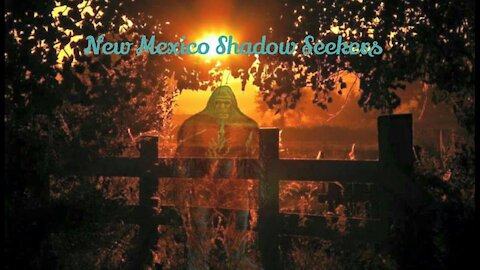 World Bigfoot Radio #21, Pt. 1 ~ Shadow Seekers: Scary adventures with Brenda Harris