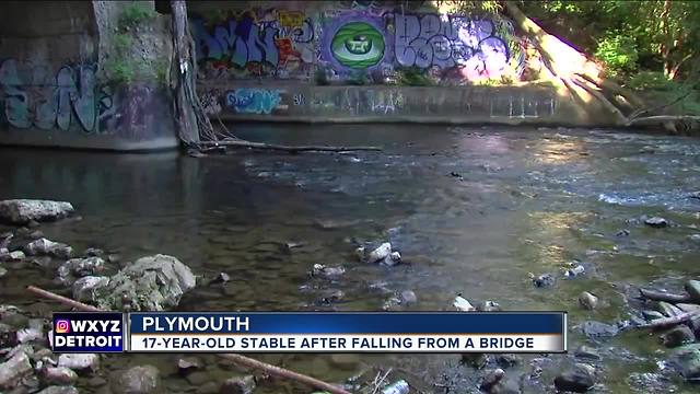 Teen boy in critical condition after falling from bridge into water at Hines Park