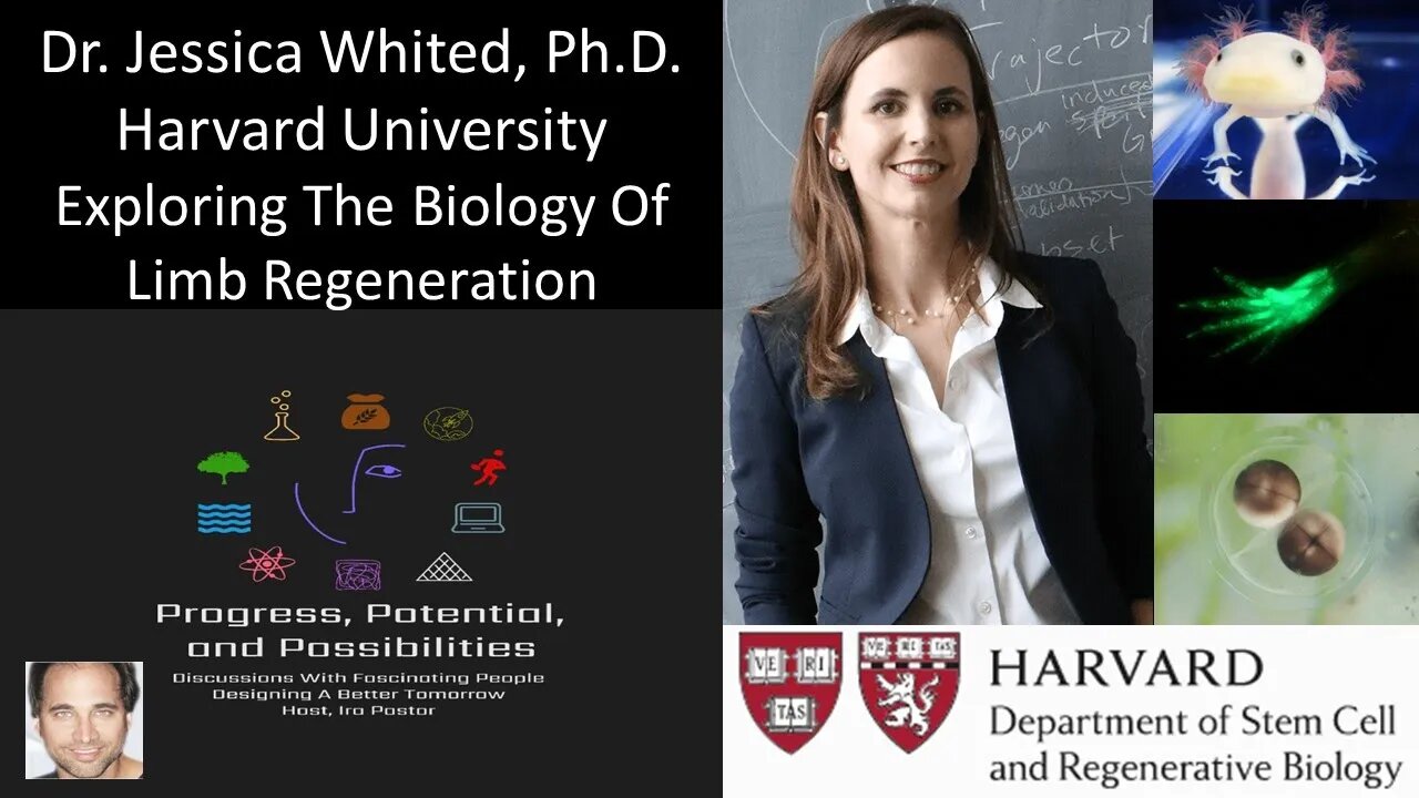 Dr. Jessica Whited, Ph.D. - Harvard University - Exploring The Biology Of Limb Regeneration
