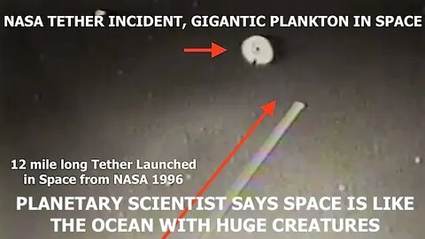 Planetary Scientist, Space is Like an Ocean with Huge Creatures Spanning Miles Across, Disclosure