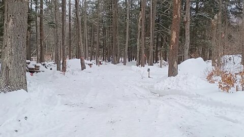 360 degree pistol shooting - cover and concealment